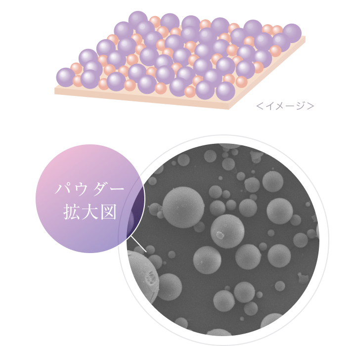 パウダー拡大図