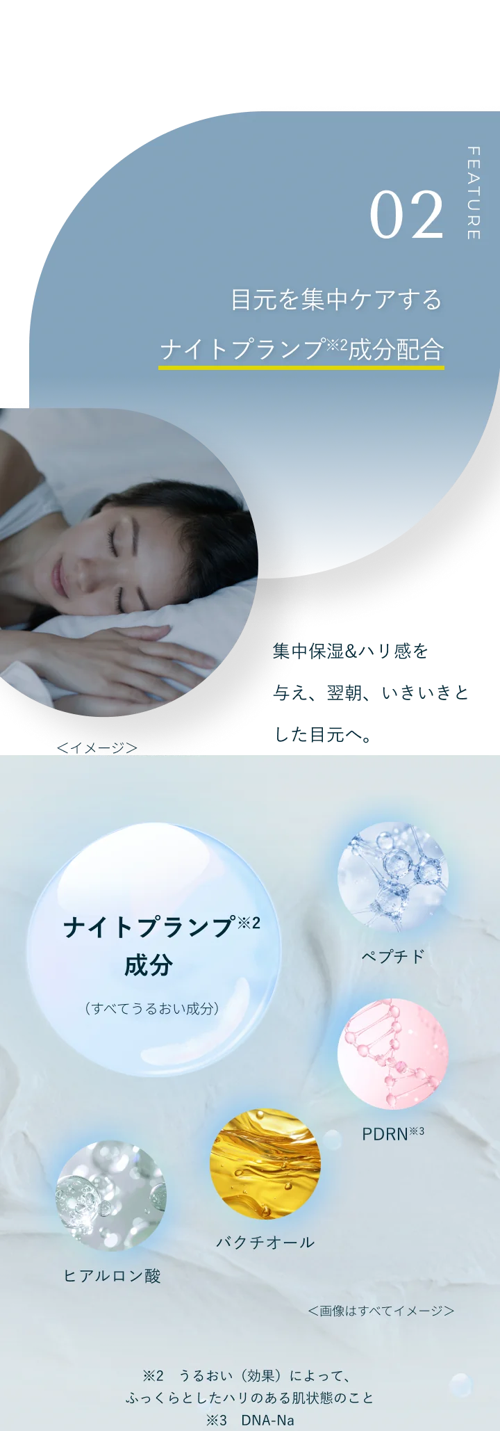 FEATURE 02 目元を集中ケアするナイトプランプ※2成分配合。※2 うるおい（効果）によって、ふっくらとしたハリのある肌状態のこと ※3 DNA-Na