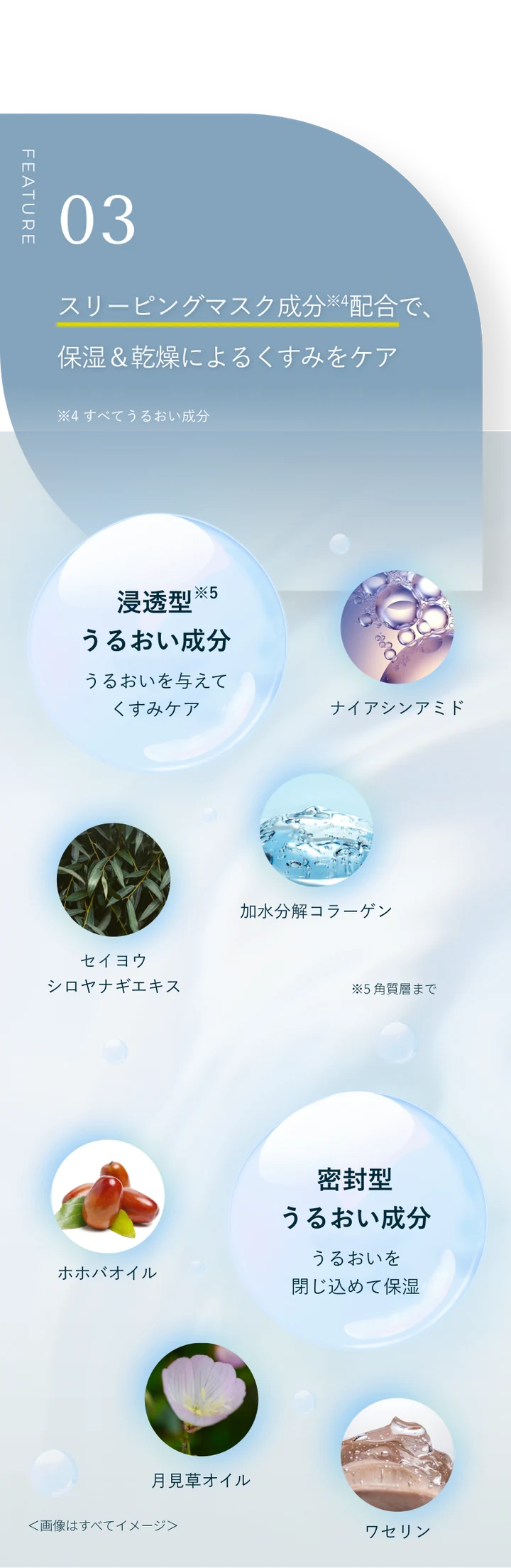 FEATURE 03 スリーピングマスク成分※4配合で、保湿＆乾燥によるくすみをケア。※4 すべてうるおい成分 ※5 角質層まで