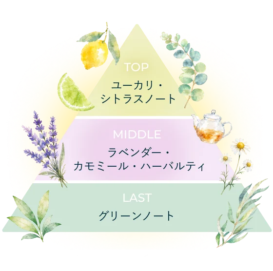 香りのピラミッド。TOP ユーカリ・シトラスノート／MIDDLE ラベンダー・カモミール・ハーバルティ／LAST グリーンノート。美容液成分85%配合